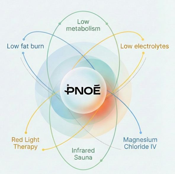 Pnoe  Master VO2 Max.